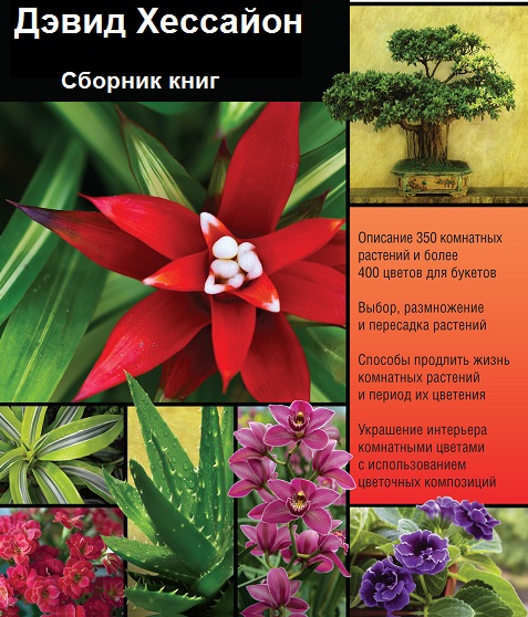 Дэвид Хессайон - Сборник книг