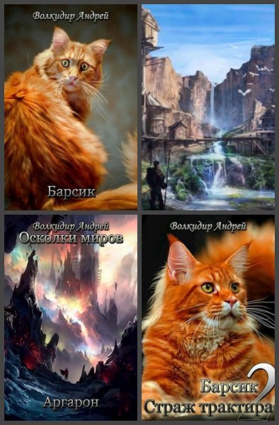 Андрей Волкидир - Сборник книг